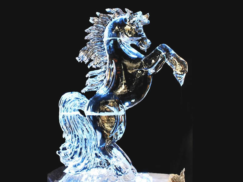 caballo de hielo para eventos - Naulcapan