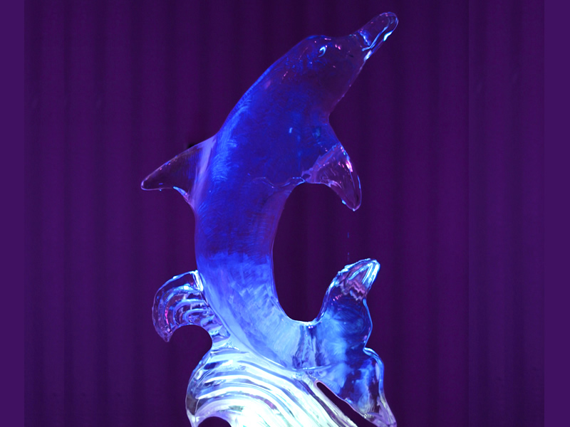 Delfin de hielo para eventos empresariales