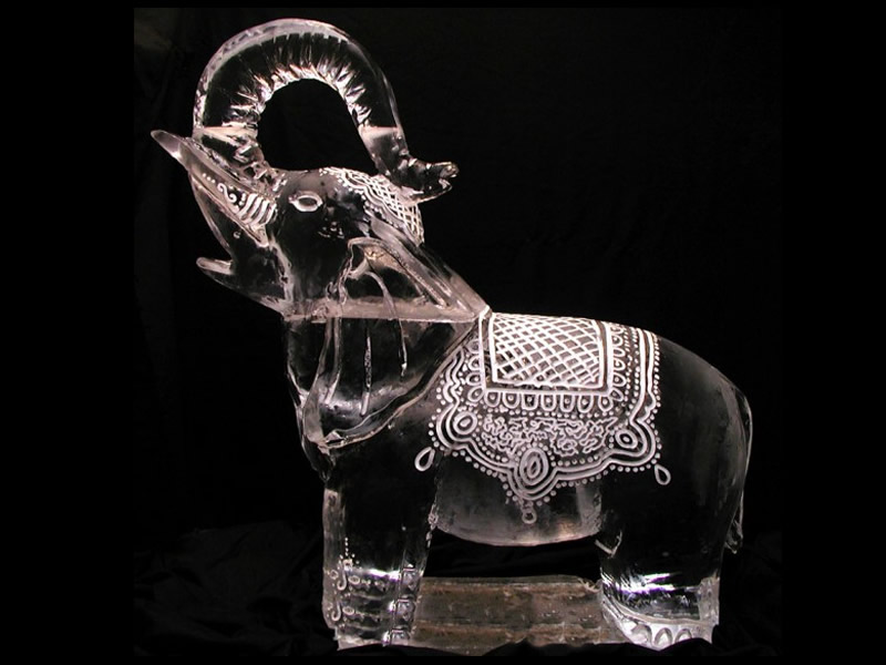 Elefante de Hielo para eventos - Naucalpan